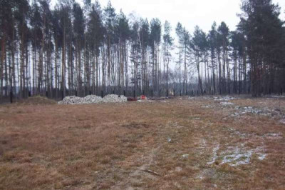 Na sprzedaż działka budowlana - Radomia -
lubuskie Zdjęcie nr 2