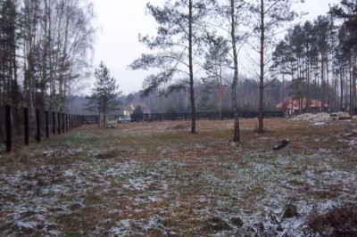 Na sprzedaż działka budowlana - Radomia -
lubuskie Zdjęcie nr 3