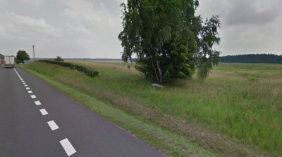 Na sprzedaż działka budowlana - Torzym -
lubuskie Zdjęcie nr 4