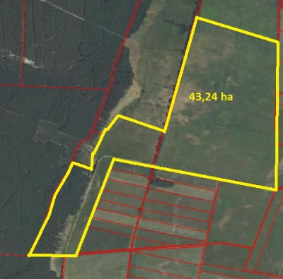 Na sprzedaż działka rolna - Lubsko -
lubuskie Zdjęcie nr 4