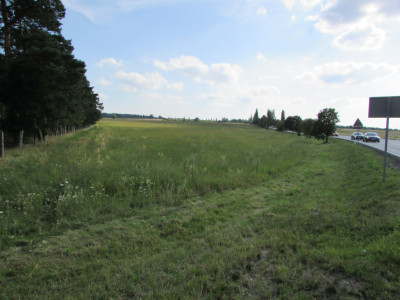 Na sprzedaż działka rolna - Nowogród Bobrzański - lubuskie