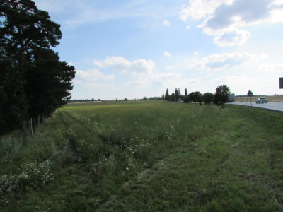 Na sprzedaż działka rolna - Nowogród Bobrzański -
lubuskie Zdjęcie nr 2