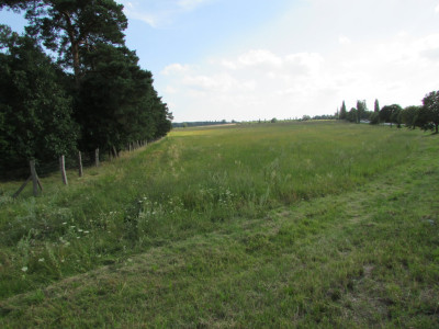 Na sprzedaż działka rolna - Nowogród Bobrzański -
lubuskie Zdjęcie nr 3