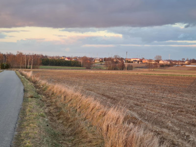 Działka pod zabudowę siedliskową 3380m2 Żelisław k Błaszek - Żelisław  -
łódzkie Zdjęcie nr 11