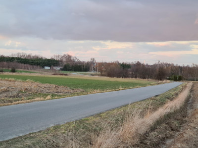 Działka pod zabudowę siedliskową 3380m2 Żelisław k Błaszek - Żelisław  -
łódzkie Zdjęcie nr 3