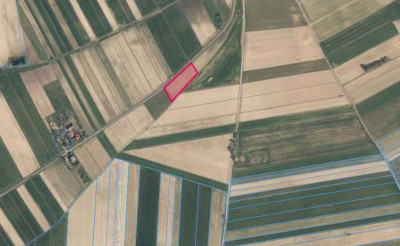 Działka pod zabudowę siedliskową 3380m2 Żelisław k Błaszek - Żelisław  -
łódzkie Zdjęcie nr 4