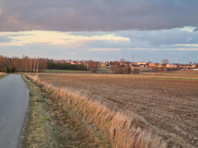 Działka pod zabudowę siedliskową 3380m2 Żelisław k Błaszek - Żelisław  -
łódzkie Zdjęcie nr 5