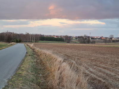 Działka pod zabudowę siedliskową 3380m2 Żelisław k Błaszek - Żelisław  -
łódzkie Zdjęcie nr 6