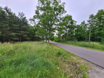 Działka budowlana z warunkami zabudowy Lisków powiat kaliski - Nadzież  - wielkopolskie