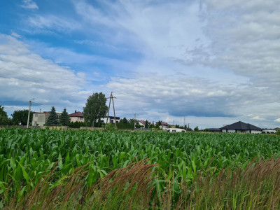 Działka budowlana 1320m2 w drugiej linii zabudowy WojciechówkaKalisz - Wojciechówka  -
wielkopolskie Zdjęcie nr 3