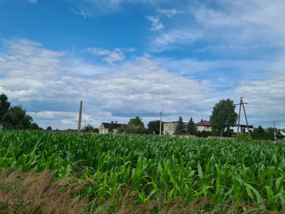 Działka budowlana 1320m2 w drugiej linii zabudowy WojciechówkaKalisz - Wojciechówka  -
wielkopolskie Zdjęcie nr 4