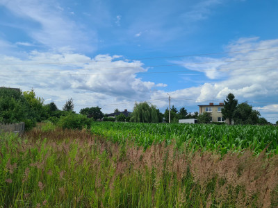 Działka budowlana 1320m2 w drugiej linii zabudowy WojciechówkaKalisz - Wojciechówka  -
wielkopolskie Zdjęcie nr 5