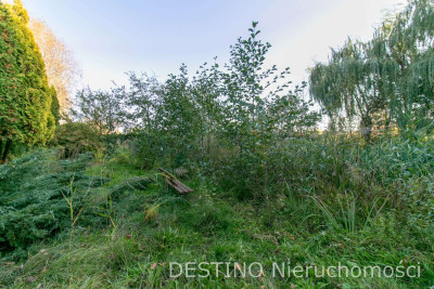 urokliwa działka budowlana 1400 m2 Szałe - Szałe  -
wielkopolskie Zdjęcie nr 5