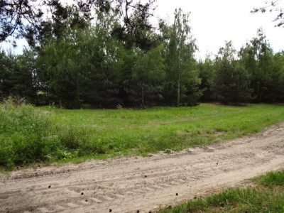 Ładna działka w zalesionej okolicy - Stobno  -
wielkopolskie Zdjęcie nr 3