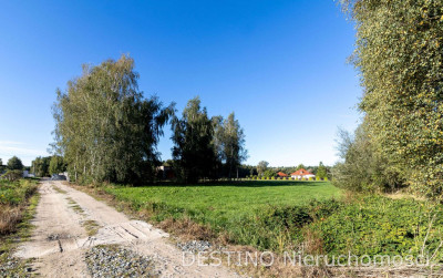 atrakcyjna działa budowlana 3118 m2 Wolica  Szałe - Wolica  -
wielkopolskie Zdjęcie nr 4