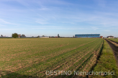 działka budowlana 1062 m2 Beznatka - Beznatka  -
wielkopolskie Zdjęcie nr 2