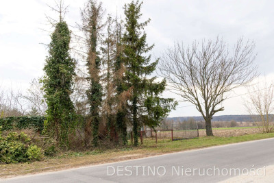 działka budowlana 327 m2 Pruszków gm Blizanów - Pruszków  -
wielkopolskie Zdjęcie nr 4