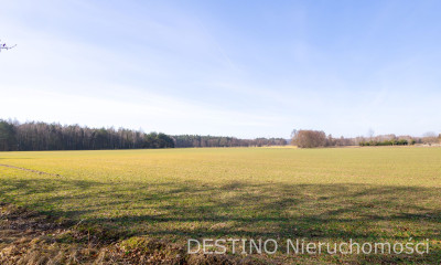 na sprzedaż działka gruntu o powierzchni ok 2 ha gm  Opatówek - Cienia Druga  -
wielkopolskie Zdjęcie nr 2