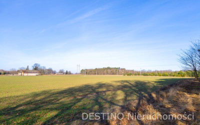 na sprzedaż działka gruntu o powierzchni ok 2 ha gm  Opatówek - Cienia Druga  -
wielkopolskie Zdjęcie nr 3