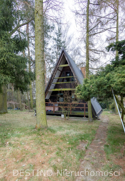 atrakcyjna działka budowana z domkiem rekreacyjnym Szałe - Szałe  -
wielkopolskie Zdjęcie nr 18