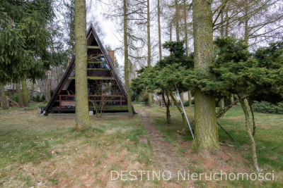 atrakcyjna działka budowana z domkiem rekreacyjnym Szałe - Szałe  -
wielkopolskie Zdjęcie nr 19