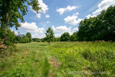 urokliwe umiejscowiona działka ok 5000 m2 - Kalisz   -
wielkopolskie Zdjęcie nr 4