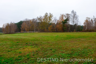 działka budowlana 4020 m2 Wolica  Szałe - Wolica  -
wielkopolskie Zdjęcie nr 2