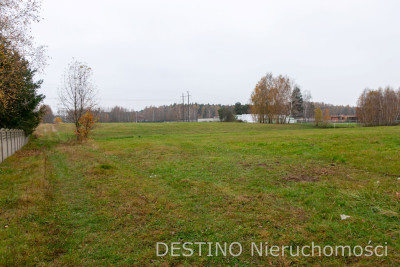 działka budowlana 4020 m2 Wolica  Szałe - Wolica  -
wielkopolskie Zdjęcie nr 4