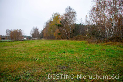 działka budowlana 4020 m2 Wolica  Szałe - Wolica  -
wielkopolskie Zdjęcie nr 5