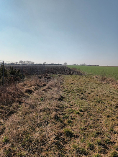 Kształtna działka siedliskowa w Żelazkowie - kaliski  -
wielkopolskie Zdjęcie nr 3