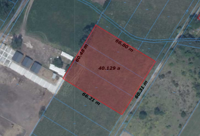 atrakcyjna działka o powierzchni ok 4000 m2 Wolica - Wolica  -
wielkopolskie Zdjęcie nr 3