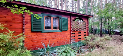 Działka dla Ciebie i Twojej rodziny domrekreacja Włodzimierz - Włodzimierz  - łódzkie