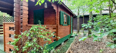 Działka dla Ciebie i Twojej rodziny domrekreacja Włodzimierz - Włodzimierz  -
łódzkie Zdjęcie nr 7