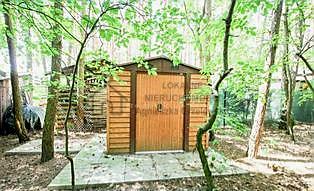 Działka dla Ciebie i Twojej rodziny domrekreacja Włodzimierz - Włodzimierz  -
łódzkie Zdjęcie nr 8