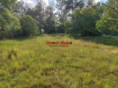 Piękna i zielona działka Zwonowice 963m2 - Zwonowice  - śląskie