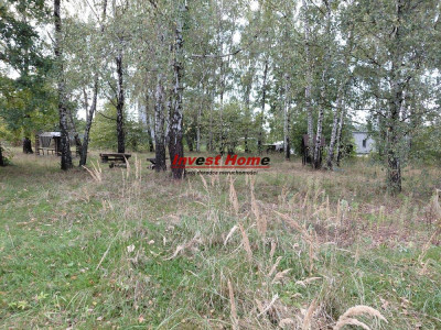  Piękna działka 1000 m2 Rydułtowy Kordeckiego - Rydułtowy  -
śląskie Zdjęcie nr 4