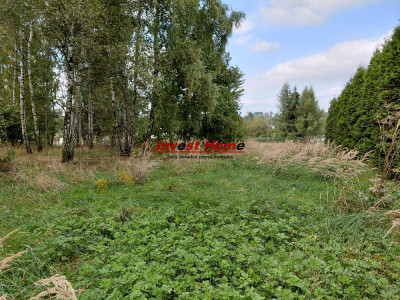  Piękna działka 1000 m2 Rydułtowy Kordeckiego - Rydułtowy  -
śląskie Zdjęcie nr 5