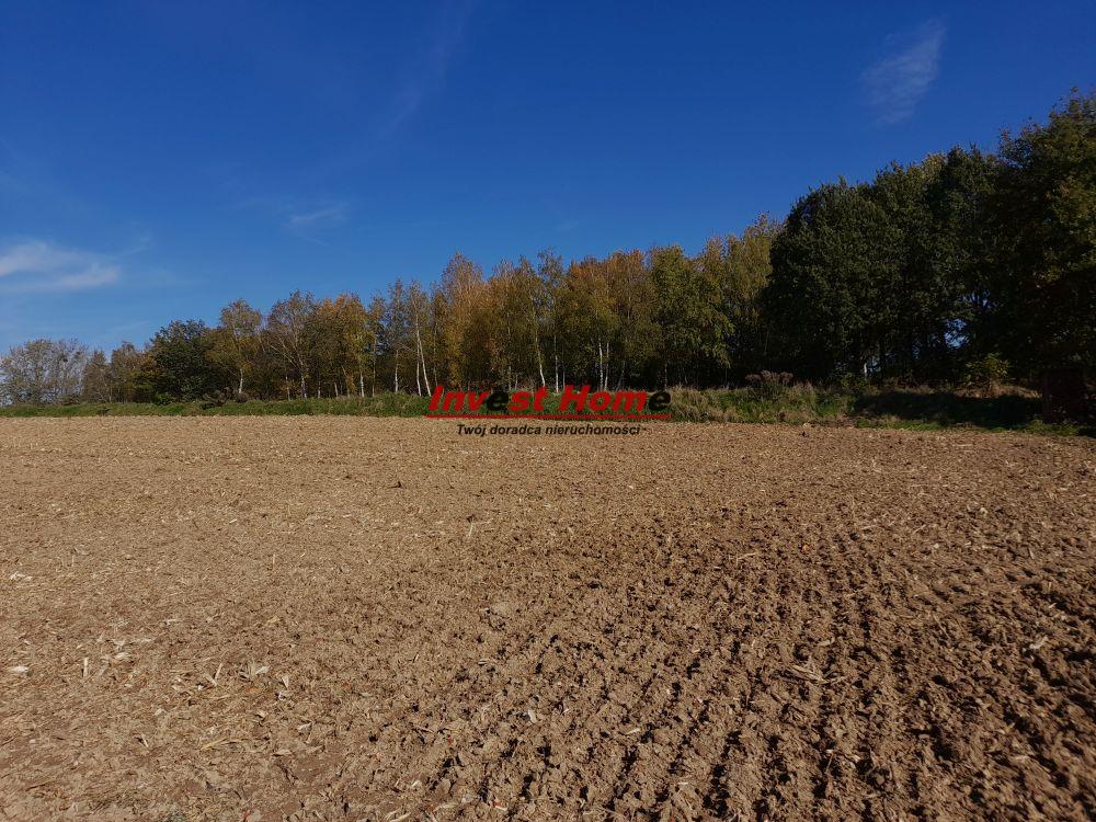  Piękna działka Jastrzębie Zdrój Szeroka 936m2  - Szeroka  -
śląskie Zdjęcie nr 1