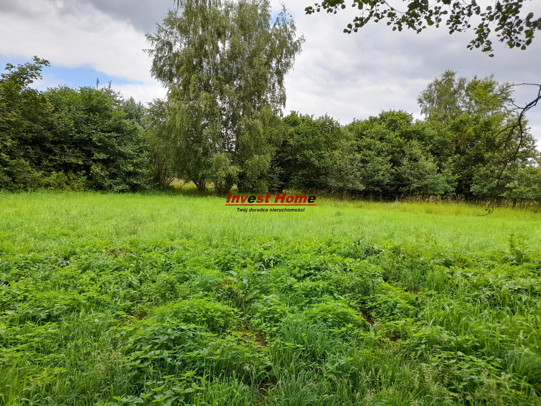  Działka budowlana Gaszowice 1284 m2 - Gaszowice   -
śląskie Zdjęcie nr 1