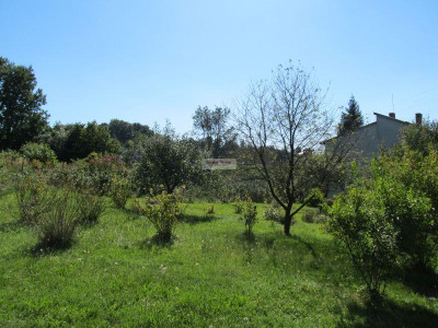 Usługowa działka na rogu Jastrzębskiej i Łużyckiej - Wodzisław Śląski  -
śląskie Zdjęcie nr 6