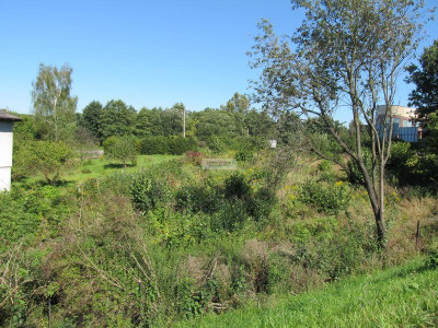 Usługowa działka na rogu Jastrzębskiej i Łużyckiej - Wodzisław Śląski  -
śląskie Zdjęcie nr 8