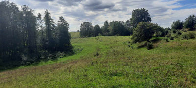 Mazury dwie działki-druga z linią brzegową -
warmińsko-mazurskie Zdjęcie nr 3