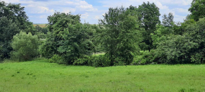 Mazury dwie działki-druga z linią brzegową -
warmińsko-mazurskie Zdjęcie nr 5