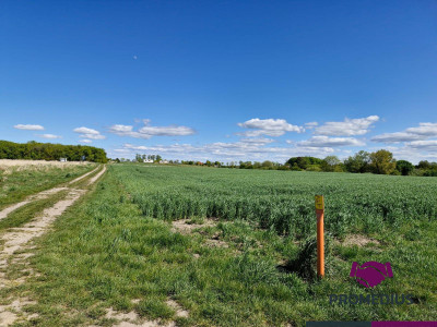 Działki budowlane Koszalin Jamno - Koszalin  -
zachodniopomorskie Zdjęcie nr 2