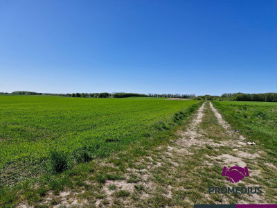 Działki budowlane Koszalin Jamno - Koszalin  -
zachodniopomorskie Zdjęcie nr 2