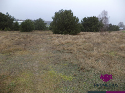 Działki w Kolonii - Żelków - Żelków-Kolonia  -
mazowieckie Zdjęcie nr 3