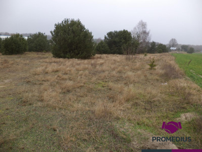 Działki w Kolonii - Żelków - Żelków-Kolonia  -
mazowieckie Zdjęcie nr 5