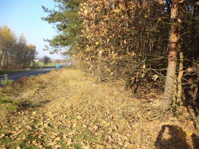 Działka przy obwodnicy Siedlec - Żelków-Kolonia   -
mazowieckie Zdjęcie nr 2