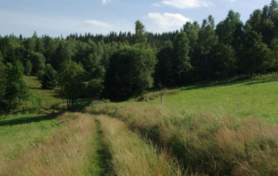 Okazja Teren Inwestycyjny z potencjałem Agroturystyka - Kamieńczyk   -
dolnośląskie Zdjęcie nr 2