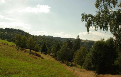 Okazja Teren Inwestycyjny z potencjałem Agroturystyka - Kamieńczyk   -
dolnośląskie Zdjęcie nr 3